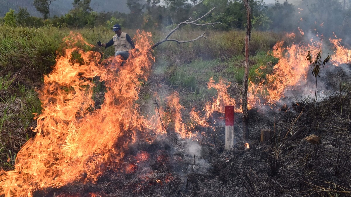 Waspada 18 Titik Api Terdeteksi di Banjar, Warga Diminta Waspada Karhutla