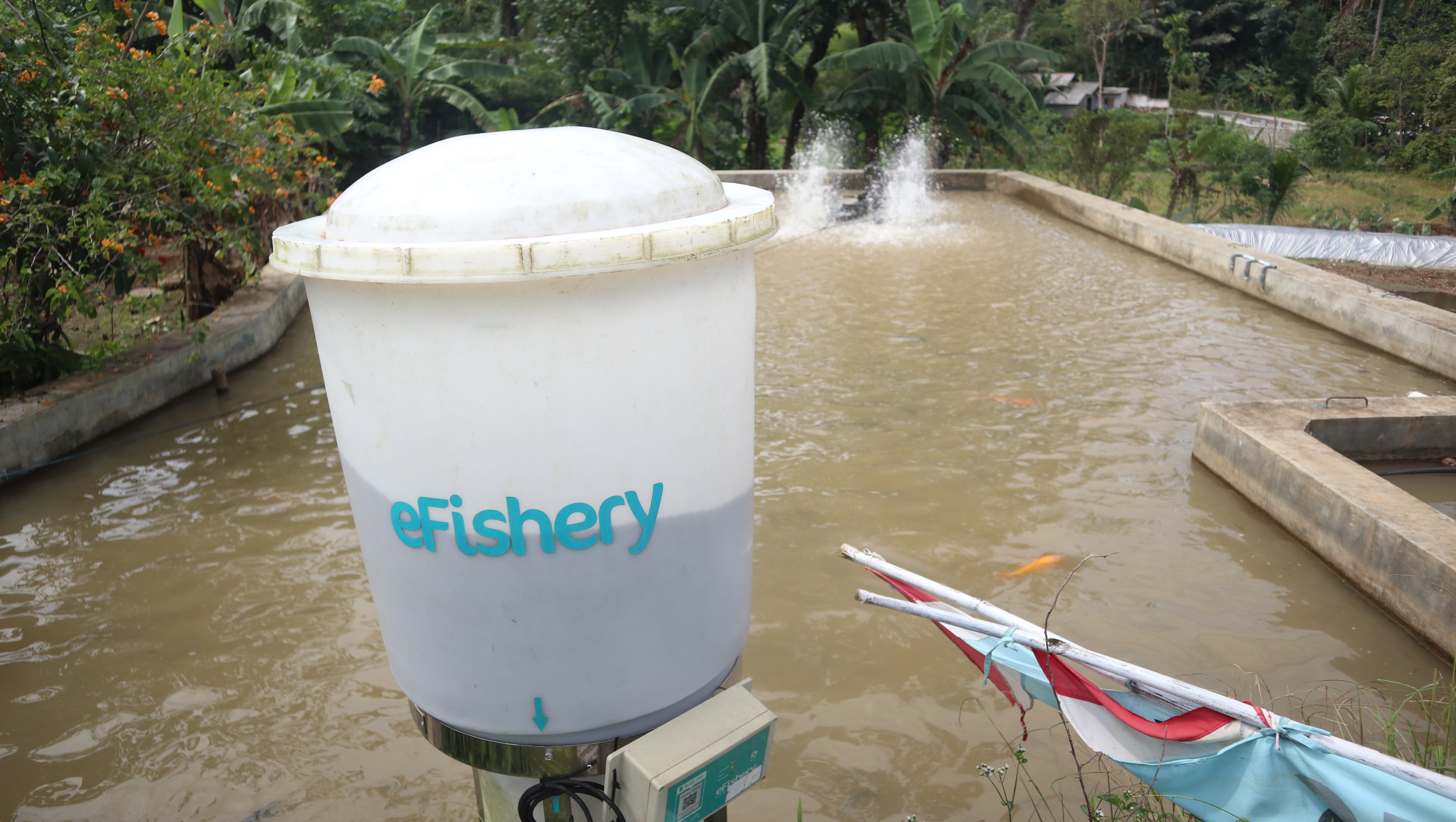 From the eFishery to TaniHub Scandals, Systemic Weaknesses in the National Startup Industry Are Exposed
